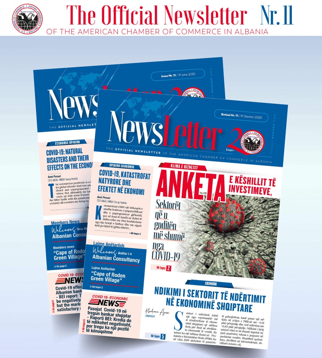 Newsletter 11